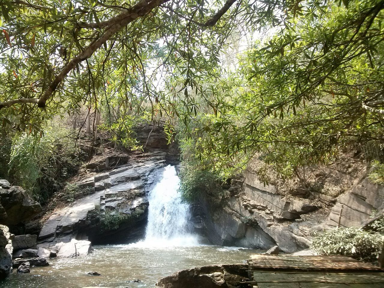 water, tree, flowing water, waterfall, motion, flowing, beauty in nature, scenics, rock - object, nature, forest, long exposure, growth, stream, tranquil scene, tranquility, river, green color, idyllic, rock formation