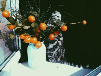 Close-up of orange fruits hanging on tree