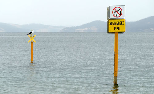 Bird on warning sign in ocean
