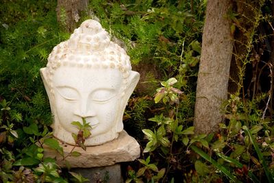 Close-up of statue against plants