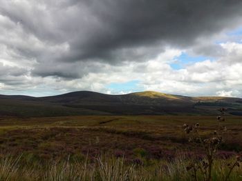 Scenic view of grassy field against cloudy sky