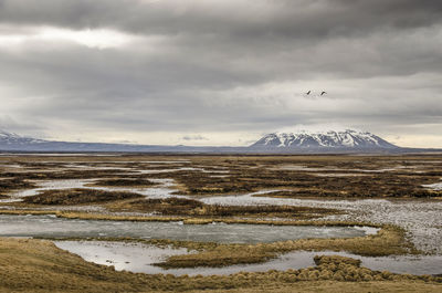 Dramatic cloudy sky over a landscape with puddles, partially frozen, and low vegetation in iceland