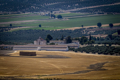 Scenic view of agricultural field