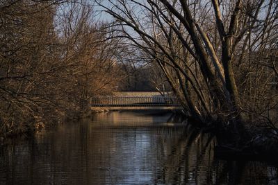 Bare trees by lake against sky