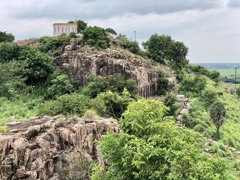 Plants growing on rock against sky