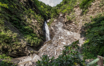 Scenic view of waterfall in forest