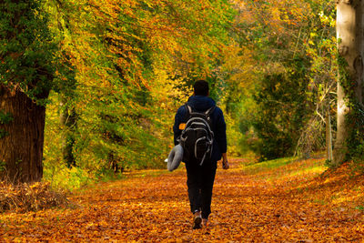 Rear view of man standing in forest