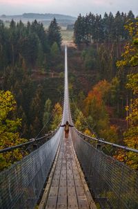 Rear view of woman standing on footbridge amidst trees in forest during autumn