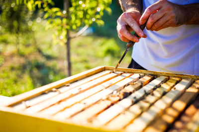 Midsection of man with knife opening beehive