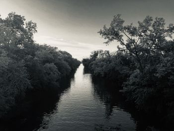 Scenic view of river in forest against sky