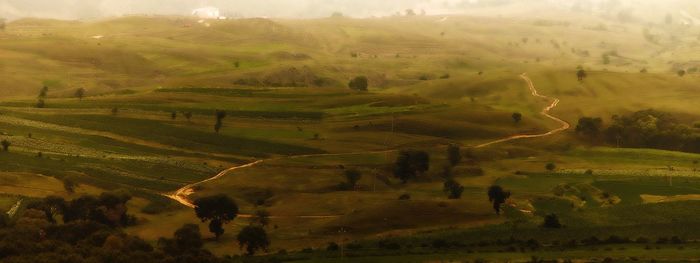 Scenic view of rural landscape