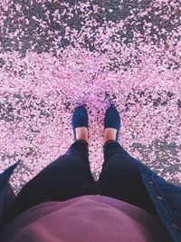 Woman holding pink flowers