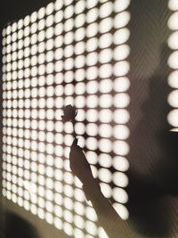 Close-up of sunlight on floor