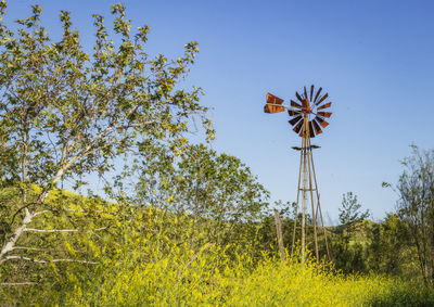Low angle view of trees on field against sky
