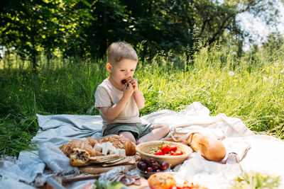 Boy child preschooler on a picnic. smiles, eating cherries and enjoying summer.