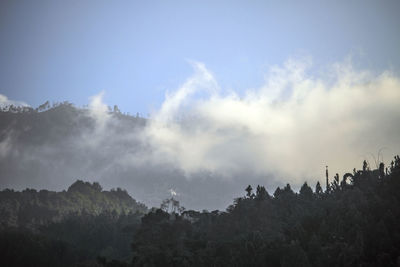 Panoramic shot of silhouette trees on land against sky