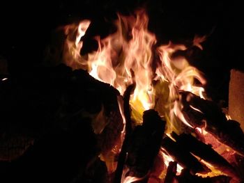 Close-up of fire in the dark