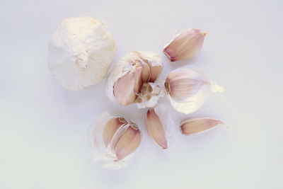 Directly above shot of garlic on white background