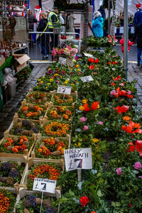 Flowers for sale at market stall
