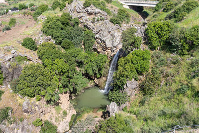 Scenic view of waterfall in forest