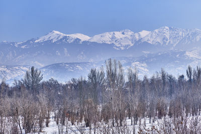 Park of first president, almaty, kazakhstan. mountains of trans-ili alatau,.winter landscape.