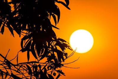 Low angle view of silhouette tree against orange sky