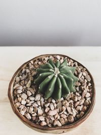 High angle view of potted plant on table