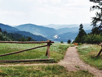 Scenic view of landscape with mountains in background