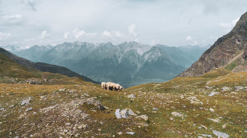 View of a mountain range