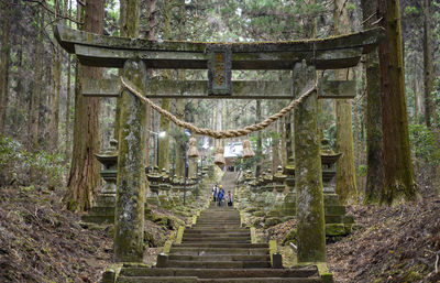 Entrance of a temple in the middle of the forest in japan.