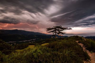 Scenic view of landscape against sky at night