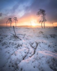 Scenic view of snow covered land during sunset
