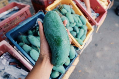 High angle view of hand holding fruit at market. 