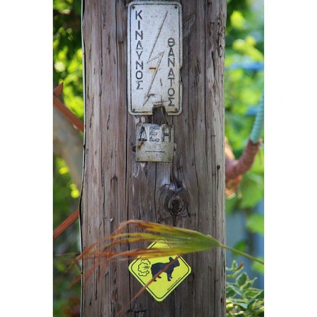 wood - material, transfer print, text, focus on foreground, close-up, wooden, communication, auto post production filter, western script, door, safety, protection, day, metal, security, yellow, outdoors, wood, wall - building feature, no people