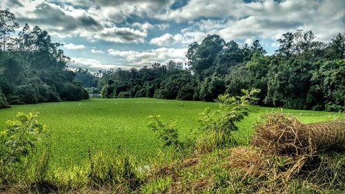 Scenic view of field against cloudy sky