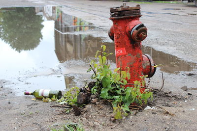 Close-up of old fire hydrant by wet street