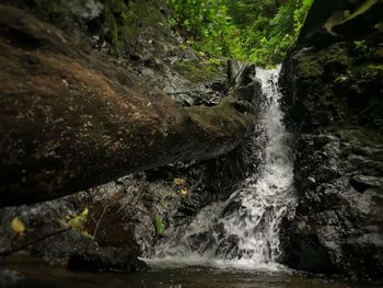 Scenic view of waterfall