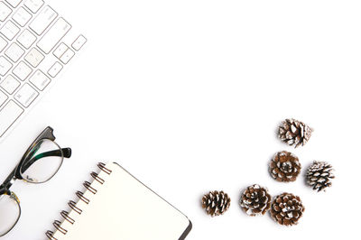 A blank notebook with pine cones on white office desk. 