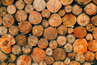 Full frame shot of logs in forest