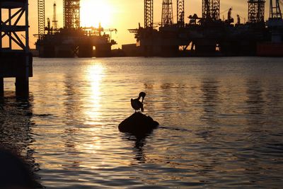 High angle view of man sitting in sea against sky during sunset