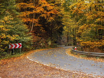 Road amidst trees in city during autumn