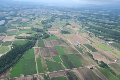 Aerial view of agricultural field