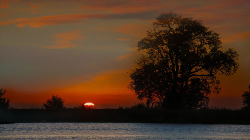 Scenic view of sunset