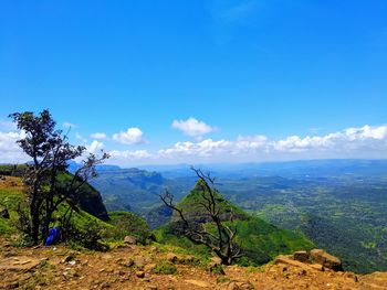 Scenic view of landscape against blue sky