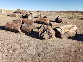 Stack of logs on field against clear sky