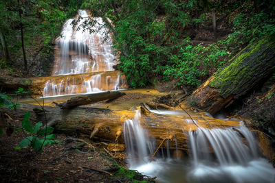 Waterfall in forest