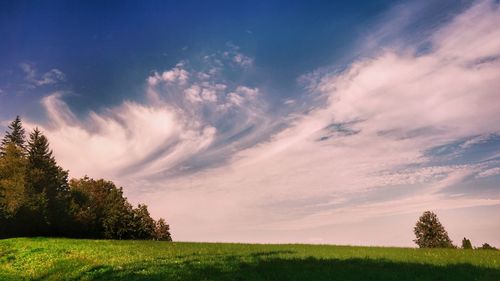 Scenic view of field against sky during sunset