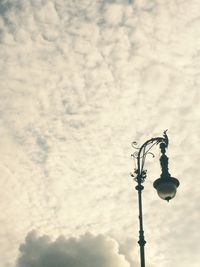 Low angle view of flower against sky