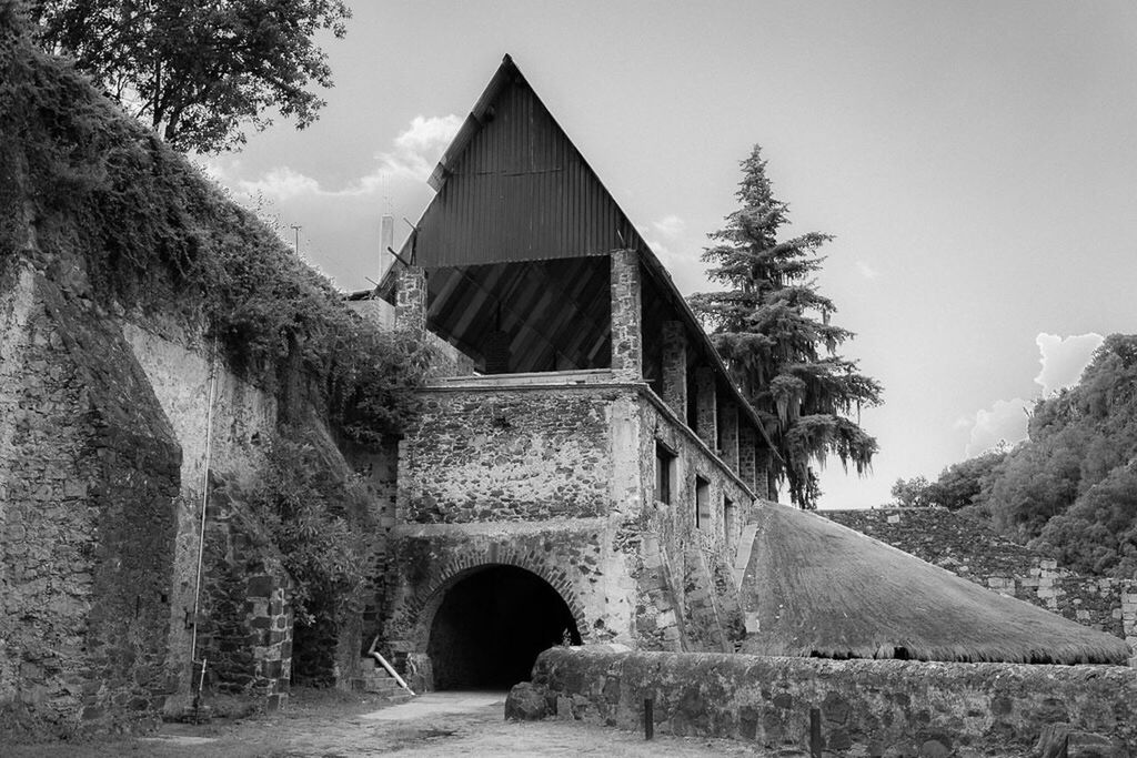 architecture, built structure, building exterior, tree, old, house, sky, history, arch, the way forward, low angle view, stone wall, clear sky, day, outdoors, no people, residential structure, the past, building, exterior