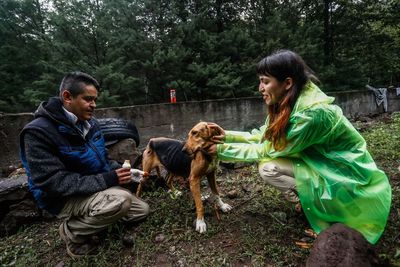 Young couple sitting on land
